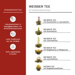 2x Teeblumen Geschenkset - 6x Grüner Tee + 6x Weißer Tee Inkl. Teekannen 0.5l 12 2x Teeblumen Geschenkset - 6x Grüner Tee + 6x Weißer Tee Inkl. Teekannen 0.5l -Günstiges Koch Zauber Geschäft creano 2x teeblumen geschenkset 6x gruner tee 6x weisser tee inkl teekannen 0 5l 5