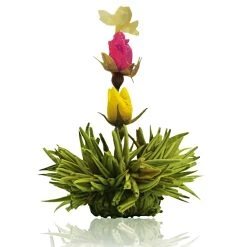 36er Pack ErblühTee Grüner Tee Fruity Flavor -Günstiges Koch Zauber Geschäft creano 36er pack erbluhtee gruner tee fruity flavor 4