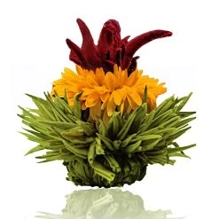 36er Pack ErblühTee Grüner Tee Fruity Flavor -Günstiges Koch Zauber Geschäft creano 36er pack erbluhtee gruner tee fruity flavor 5