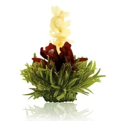 36er Pack ErblühTee Grüner Tee Fruity Flavor -Günstiges Koch Zauber Geschäft creano 36er pack erbluhtee gruner tee fruity flavor 8