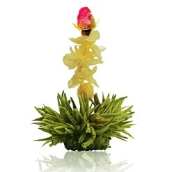 36er Pack ErblühTee Grüner Tee Fruity Flavor -Günstiges Koch Zauber Geschäft creano 36er pack erbluhtee gruner tee fruity flavor 9