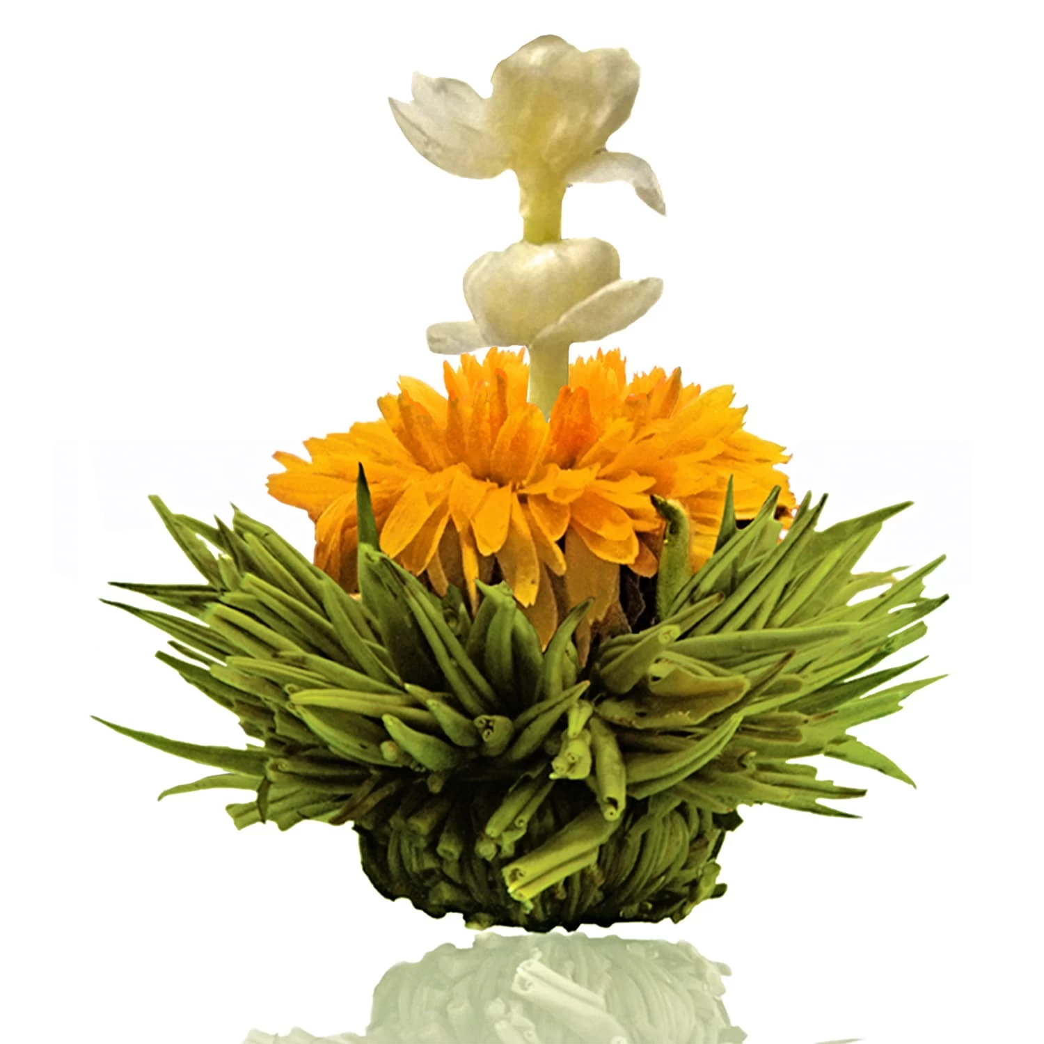 6er Box ErblühTee Grüntee Fruity Flavor 5 6er Box ErblühTee Grüntee Fruity Flavor – Bild 5