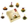 MIXED 6er Box Teeblumen Grüner/Weißer/Schwarzer Tee