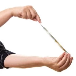 6er Set Trinkhalm: "Dinosaurier" Glas-Strohhalme In Transparent - 20 Cm -Günstiges Koch Zauber Geschäft halm 6er set trinkhalm dinosaurier glas strohhalme in transparent 20 cm 5