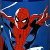 Aero Sport-Trinkflasche Spider-Man, 500 Ml