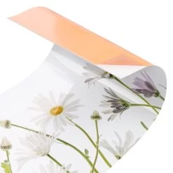 Küchenrückwand - Leichter Gänseblümchen Mix II In Weiß 12 Küchenrückwand - Leichter Gänseblümchen Mix II In Weiß -Günstiges Koch Zauber Geschäft wallart kuchenruckwand leichter ganseblumchen mix ii in weiss 4