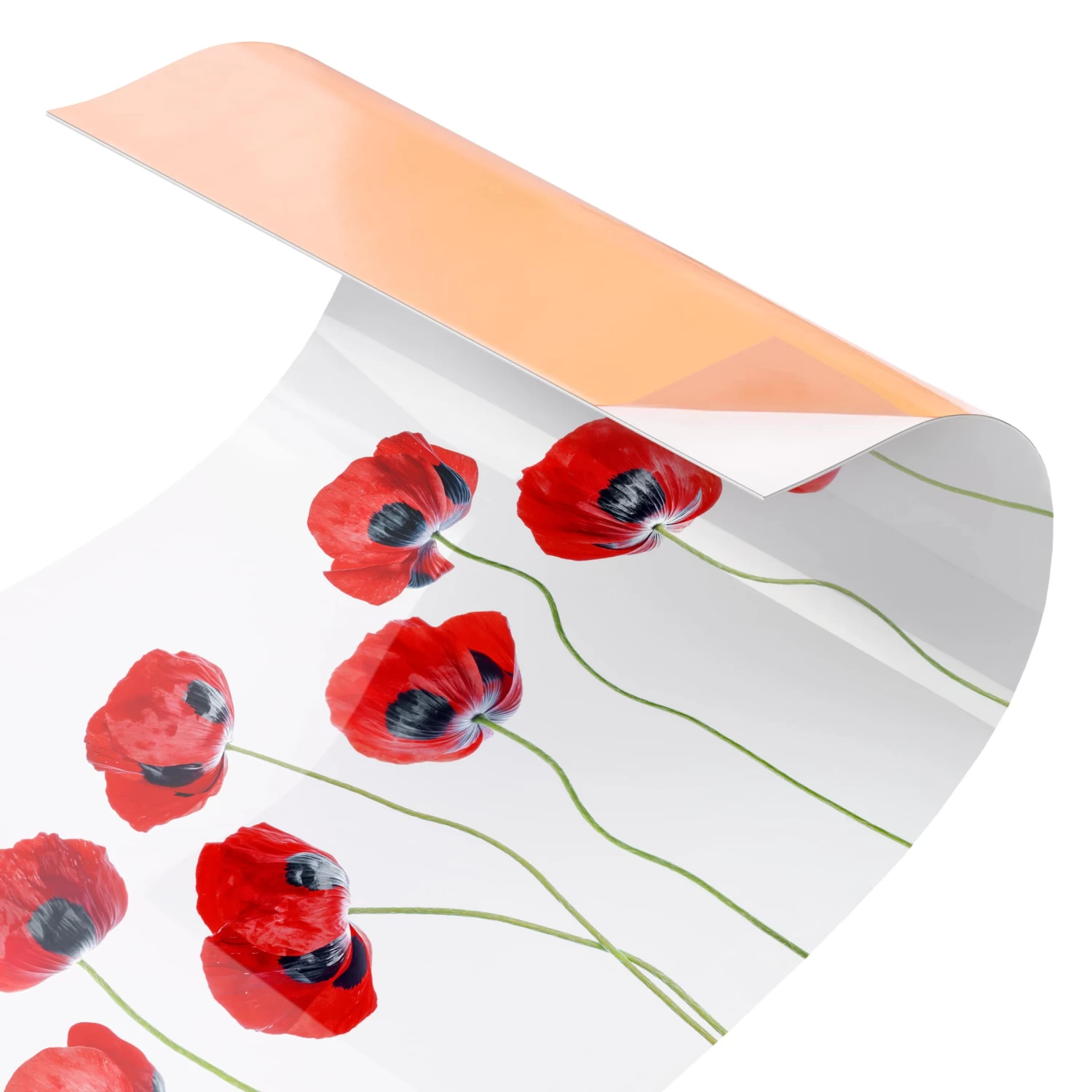 Küchenrückwand - Marienkäfer Mohnblumen II In Rot 5 Küchenrückwand - Marienkäfer Mohnblumen II In Rot – Bild 5