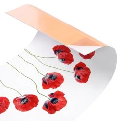 Küchenrückwand - Marienkäfer Mohnblumen II In Rot 13 Küchenrückwand - Marienkäfer Mohnblumen II In Rot -Günstiges Koch Zauber Geschäft wallart kuchenruckwand marienkafer mohnblumen ii in rot 5