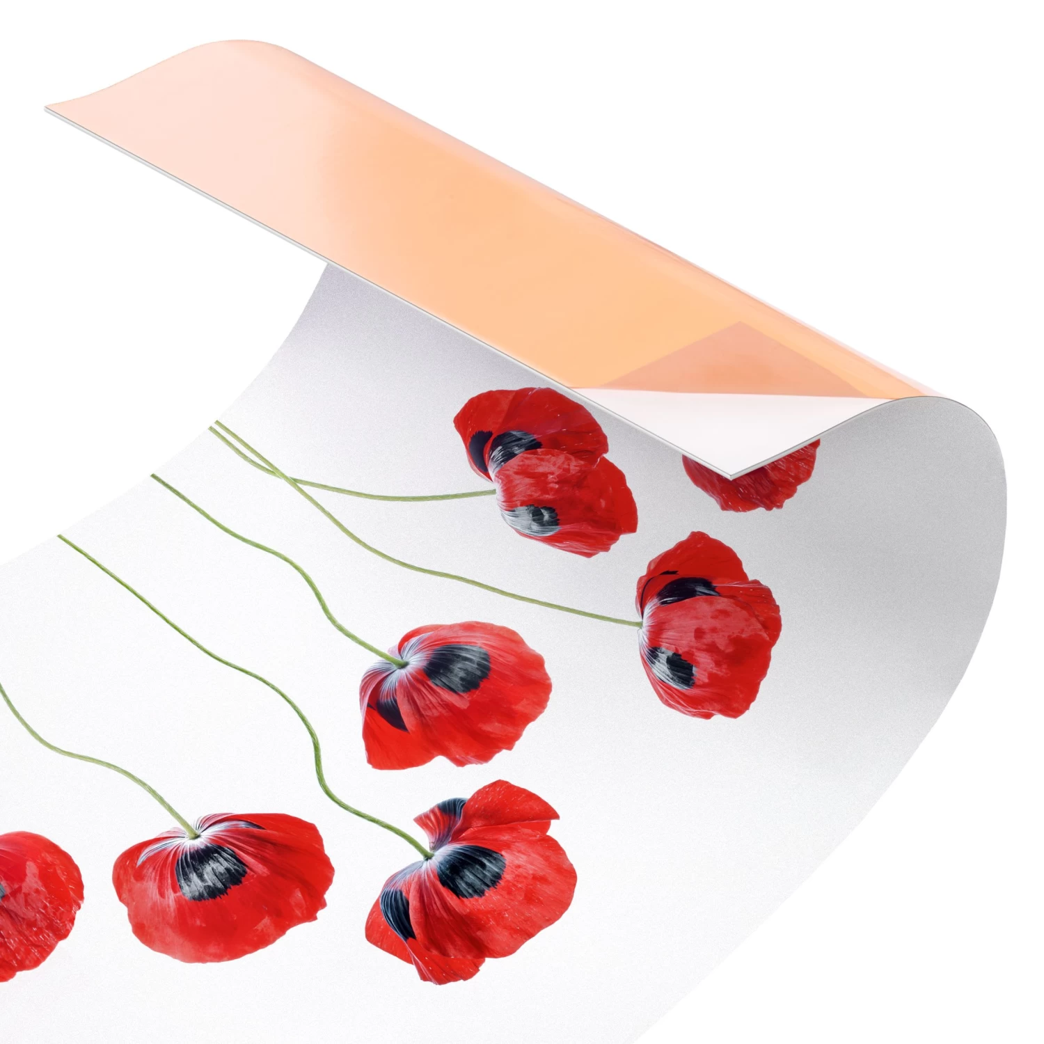 Küchenrückwand - Marienkäfer Mohnblumen II In Rot 6 Küchenrückwand - Marienkäfer Mohnblumen II In Rot – Bild 6